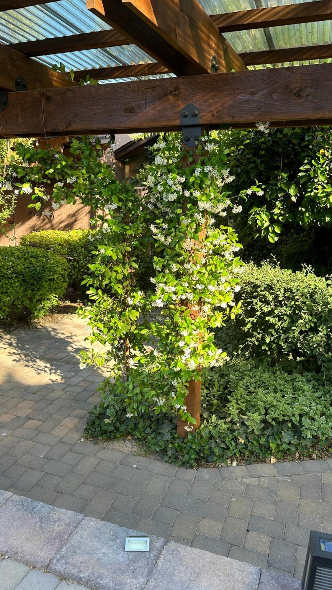 Lantern Light Inn - Romantic Getaway (Adults Only) سيدونا المظهر الخارجي الصورة