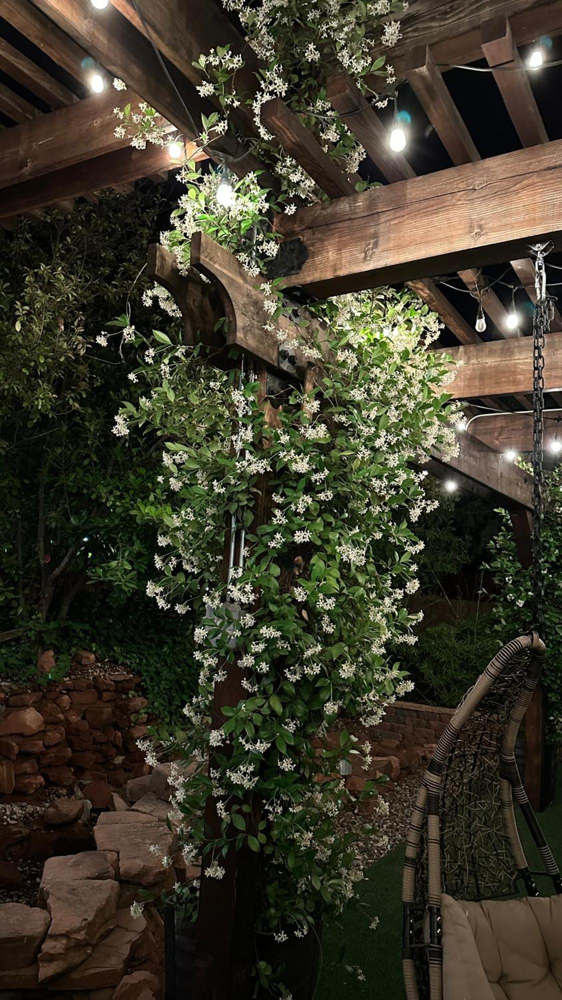 Lantern Light Inn - Romantic Getaway (Adults Only) سيدونا المظهر الخارجي الصورة